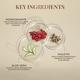 Just Herbs Tinted Sunscreen 30 ml - Face Sunscreen