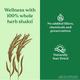 Organic India Psyllium Whole Husk Isabgol Powder 100 gm - Speciality Medicines