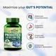 Vlado's Himalayan Organics Probiotics 50 Billion CFU with Prebiotics Veg Capsules 60's - Digestive Health