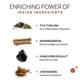 The Tribe Concepts Collagen Boosting Shilajitadi Thailam 12 ml - Highlighters & Illuminators
