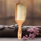 Babila Paddle Hair Brush (With Cleaning Comb) 1's (N) - Hair Brushes
