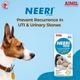 AIMIL Neeri PET Liquid 200 ml - Pet Healthcare