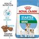 Royal Canin Mini Starter 4 Kg - Petfood