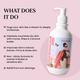 Saniolla Rose Body Lotion 300 gm - Lotions & Creams