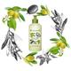 Yves Rocher Relaxing Body Lotion Olive Petit Grain 390ml - Lotions & Creams