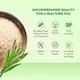 Baidyanath Isabgol Psyllium  Husk Powder 100g - Digestive Care