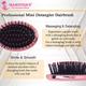 Majestique Mini Detangler Hair Brush, Massage Paddle for Adults and Kids - Color May Vary 1's - Hair Brushes