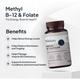 Miduty Methyl B 12 & Folate Chewable Tablet 60's - Calcium And Minerals