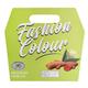 Fashion Colour Insta Glow Facial Kit 100 gm - Facial Kits