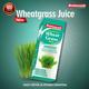 Baidyanath Wheat grass Juice 1 l - Speciality Medicines