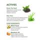 Skivia Green Tea Seed Face Serum With Witch Hazel & Mandarin Oil 15 ml - Face Serum