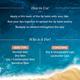 Aqualogica Coral Slush Plump + Luscious Tinted Lip Balm With Mango And Hyaluronic Acid 10 gm - Lip Balms