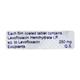 LEVONOX 250 Tablet 10's - Bacterial Infections-Qui