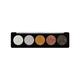Profusion Cosmetics 5 Shade Glitter Eye Shadow Pallete Onyx Gems (4.5 g) - Eye Shadow Palettes