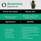 Organic Forest 100% VEGAN Rosemary Essential Oil 10 ml - Essential Oils