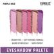 Insight Cosmetics Show Time Eyeshadow Palette - Purple Haze 15 gm - Eye Shadow Palettes