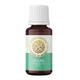 House of Aroma Ocean Fragrance Oil 10 ml - Carrier Oils