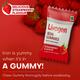 LIVOGEN STRAWBERRY FLAVOUR IRON Gummies 30's - Anaemia-VMA