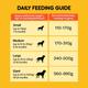 Pedigree Adult Meat & Rice 20000 gm - Petfood