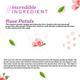 Atulya Rose Petal Organic Powder 100 gm - Hair Masks & Packs