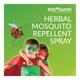 Bodyguard Herbal Mosquito Repellent Spray 100 ml - Mosquito Repellent
