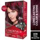 Revlon Colorsilk Hair Color With Keratin - 3D Color No Ammonia Deep Burgundy 3DB (40ml+40ml+11.8ml) 1's - Crème