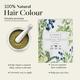 Sadhev Natural Hair Colour Powder - Double Process 200 gm - Powder