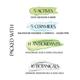 Mintree Certified Organic Olive Body Butter, Nourishes and Moisturizes, 72Hrs Hydration 150 gm - Creams, Lotions & Oils
