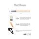 Allure Makeup Brush (Eye Shadow C-23 ) 1's - Eye Brush