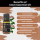 Organic Forest 100% VEGAN Clove Essential Oil 10 ml - Essential Oils