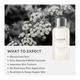Raw Nature Hand & Body Lotion - Helichrysum & Sage 60 gm - Lotions & Creams