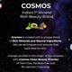 Cosmos by Bewakoof Face Serum Powered By Vitamin C & Copper 30 ml - Face Mists