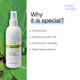 Milk Shake No Frizz Allowed Amazing Anti-Humidity Spray 200 ml - Hair Sprays & Mists