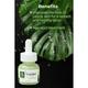 Organic Harvest Activ Rainforest Serum 30 gm - Face Serum