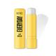 Renee Cosmetics Everyday Lip Balm 03 Plain Jane 4.5 gm - Lip Balms