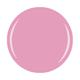 LYN Lil Miss Piggy Nail Polish 8 ml - Nail Polish