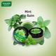 Lip Balm - Mint 10 gm - Lip Balms