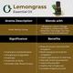 Organic Forest 100% VEGAN Lemongrass Essential Oil 10 ml - Essential Oils