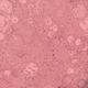 O.P.I Summer 25 Infinite Shine Servin Pink 15 ml - Nail Polish