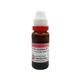 Dr. Reckeweg Arnica Montana Q Liquid 20 ml - Mother Tincture