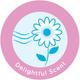 Whisper Ultra Softs Air Fresh Sanitary Pads for Women XL 7 Napkins 1's - Others