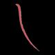 Essence Soft Contouring Lipliner-05 1.4 gm - Lip Liners