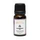 Clovia Botaniqa Elderberry Essential Oil 10 ml - Essential Oils