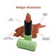 DISGUISE Ultra-Comfortable Satin Matte Lipstick, Beige Musician 09 4.2 gm - Lipsticks