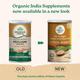 Organic India Psyllium Whole Husk Isabgol Powder 100 gm - Speciality Medicines