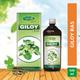 Swadeshi Giloy Ras Liquid 500 ml - Giloy