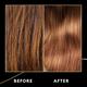 New Tresemme Bond Strength Keratin Repair Protine Bond Plex Hair Strength Salon Quality Shampoo 580ml - Shampoos