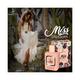 Dorall Collection Miss Blossom Eau de Parfum For Women 100 ml - Women Perfumes (Edt/Edp)