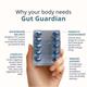 Briyo All Around Gut Guardian Capsules 30's - Digestive Health