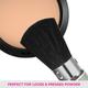 Vega Blush Brush (EV - 19) 1's - Blush Brush